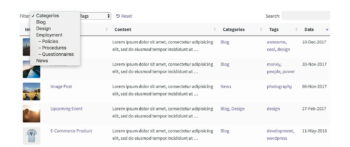 Hierarchical category filters